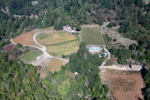 Silvertip_winery-aerial